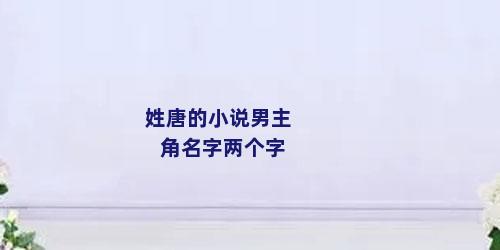 姓唐的小说男主角名字两个字