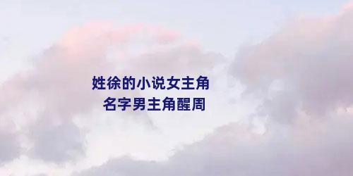 姓徐的小说女主角名字男主角醒周