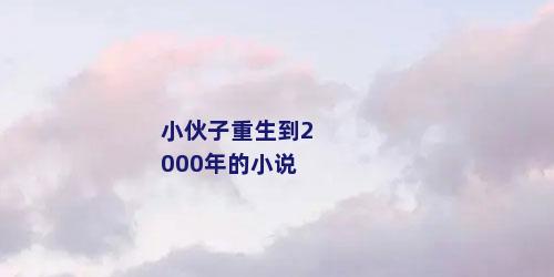 小伙子重生到2000年的小说