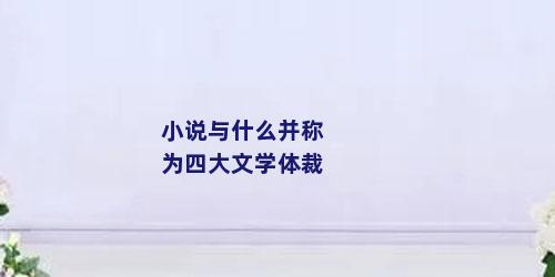 小说与什么并称为四大文学体裁