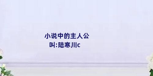 小说中的主人公叫:陆寒川c