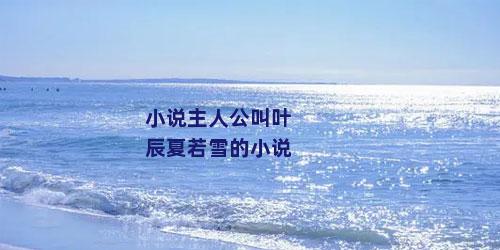 小说主人公叫叶辰夏若雪的小说