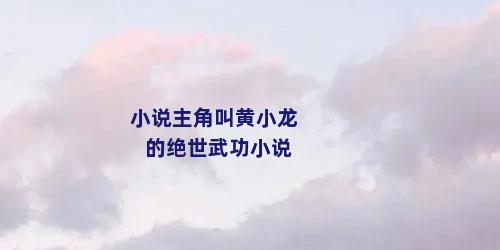 小说主角叫黄小龙的绝世武功小说