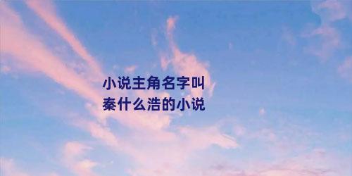 小说主角名字叫秦什么浩的小说