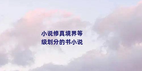 小说修真境界等级划分的书小说