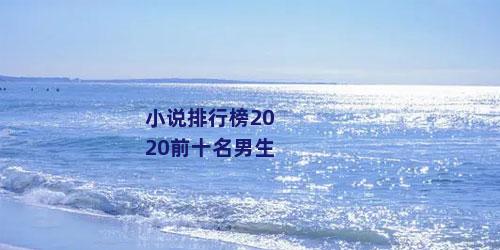 小说排行榜2020前十名男生