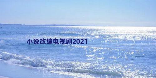 小说改编电视剧2021