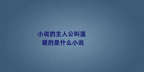 小说的主人公叫温暖的是什么小说