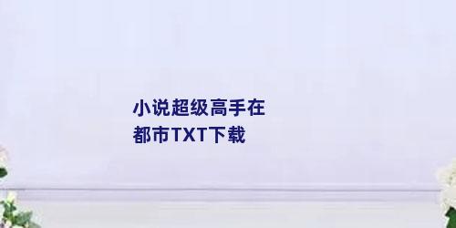 小说超级高手在都市TXT下载