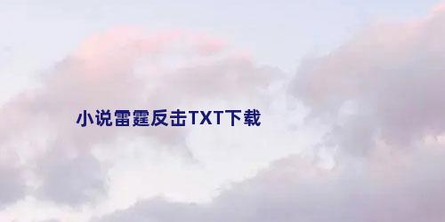 小说雷霆反击TXT下载