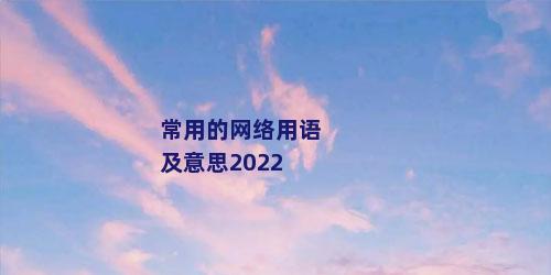 常用的网络用语及意思2022