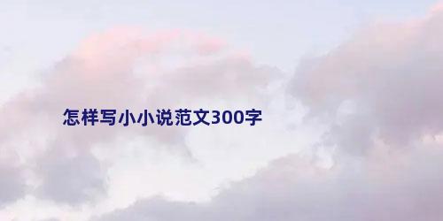 怎样写小小说范文300字