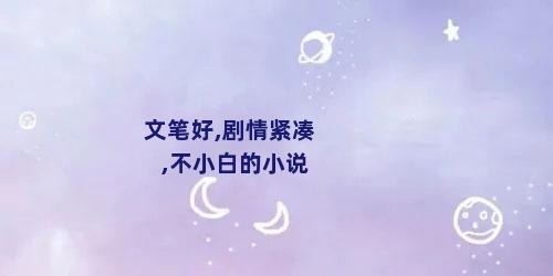 文笔好,剧情紧凑,不小白的小说