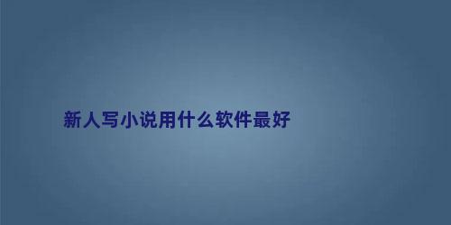 新人写小说用什么软件最好