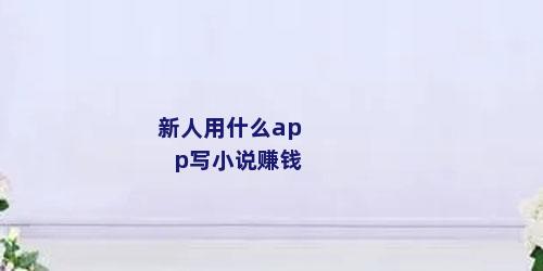 新人用什么app写小说赚钱