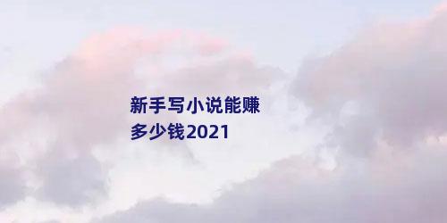 新手写小说能赚多少钱2021