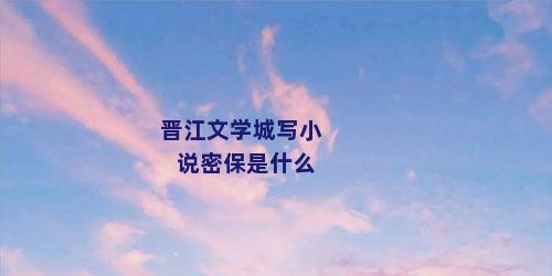 晋江文学城写小说密保是什么