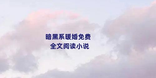 暗黑系暖婚免费全文阅读小说