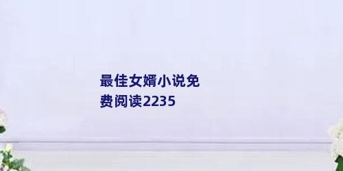 最佳女婿小说免费阅读2235