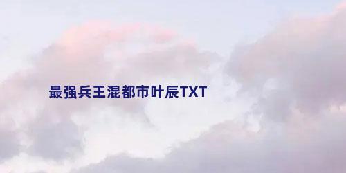 最强兵王混都市叶辰TXT