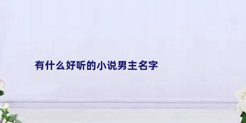 有什么好听的小说男主名字