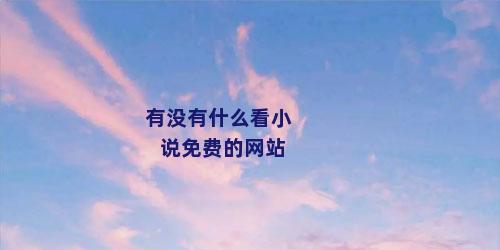 有没有什么看小说免费的网站