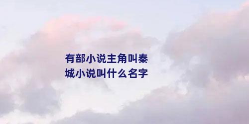 有部小说主角叫秦城小说叫什么名字