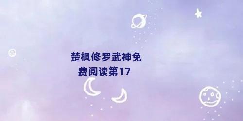 楚枫修罗武神免费阅读第17