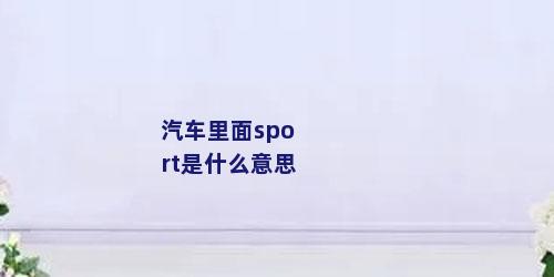 汽车里面sport是什么意思