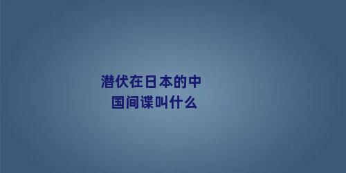 潜伏在日本的中国间谍叫什么