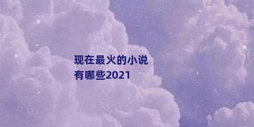 现在最火的小说有哪些2021