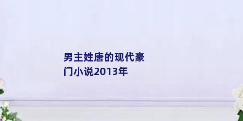 男主姓唐的现代豪门小说2013年