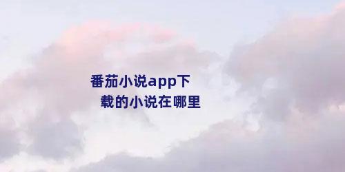 番茄小说app下载的小说在哪里