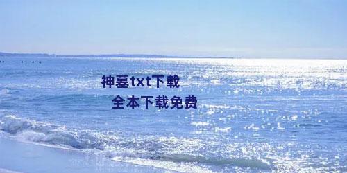 神墓txt下载全本下载免费