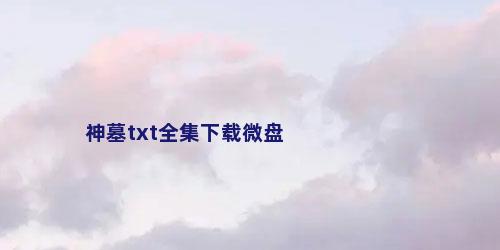 神墓txt全集下载微盘