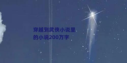 穿越到武侠小说里的小说200万字