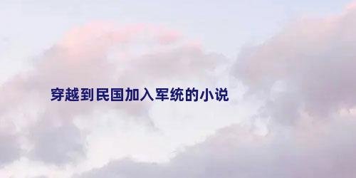 穿越到民国加入军统的小说