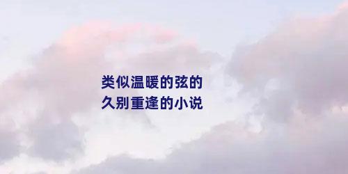 类似温暖的弦的久别重逢的小说