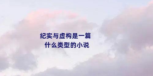 纪实与虚构是一篇什么类型的小说