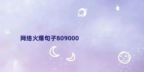 网络火爆句子809000