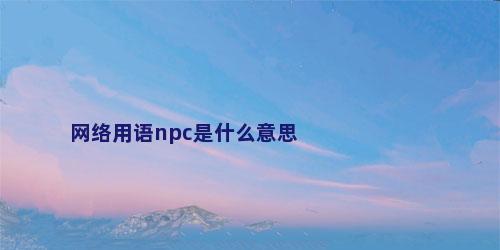 网络用语npc是什么意思