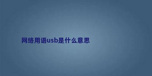 网络用语usb是什么意思