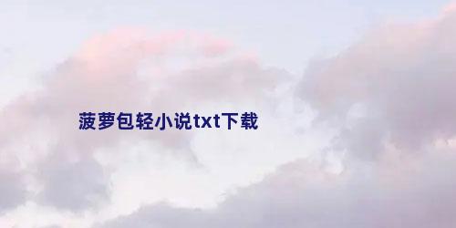 菠萝包轻小说txt下载