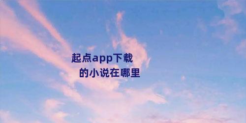 起点app下载的小说在哪里