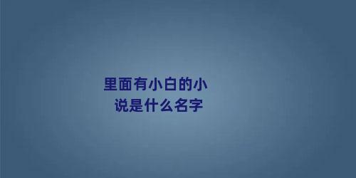 里面有小白的小说是什么名字