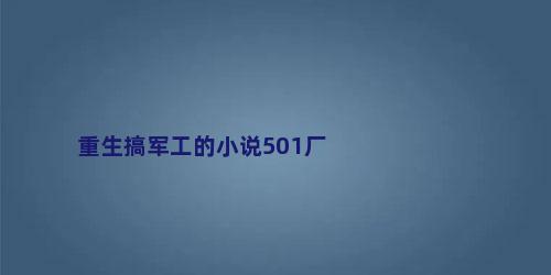 重生搞军工的小说501厂