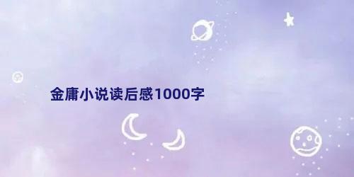 金庸小说读后感1000字