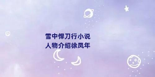 雪中悍刀行小说人物介绍徐凤年