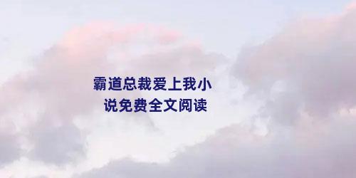 霸道总裁爱上我小说免费全文阅读