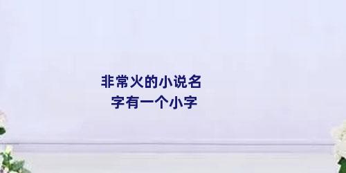 非常火的小说名字有一个小字